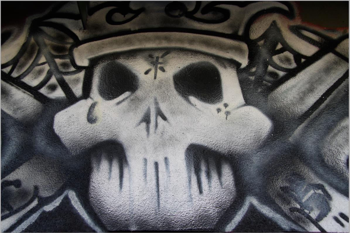Skull mural in Santa Fe ~ photo © Patricia Pinsk
