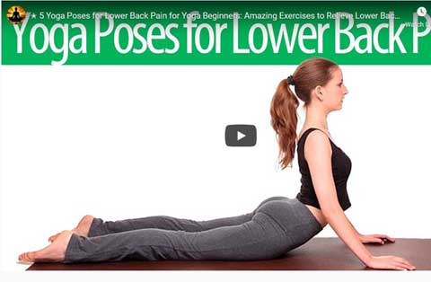 5 Yoga Poses for Lower Back Pain for Yoga Beginners (YouTube 3:05)
